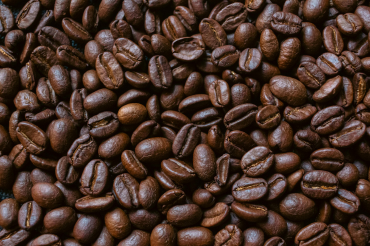 Arabica Coffee