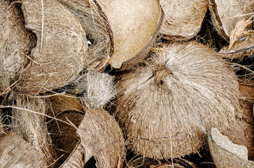 Coconut Husk