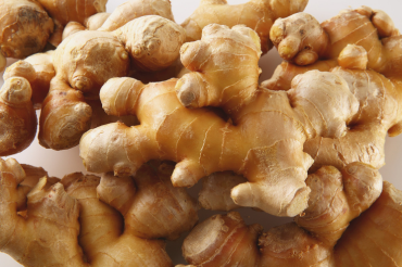 Indonesian aromatic rhizome spices